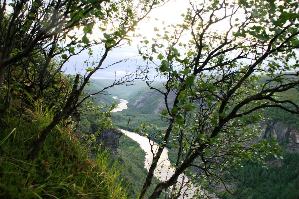 Gargia Alta